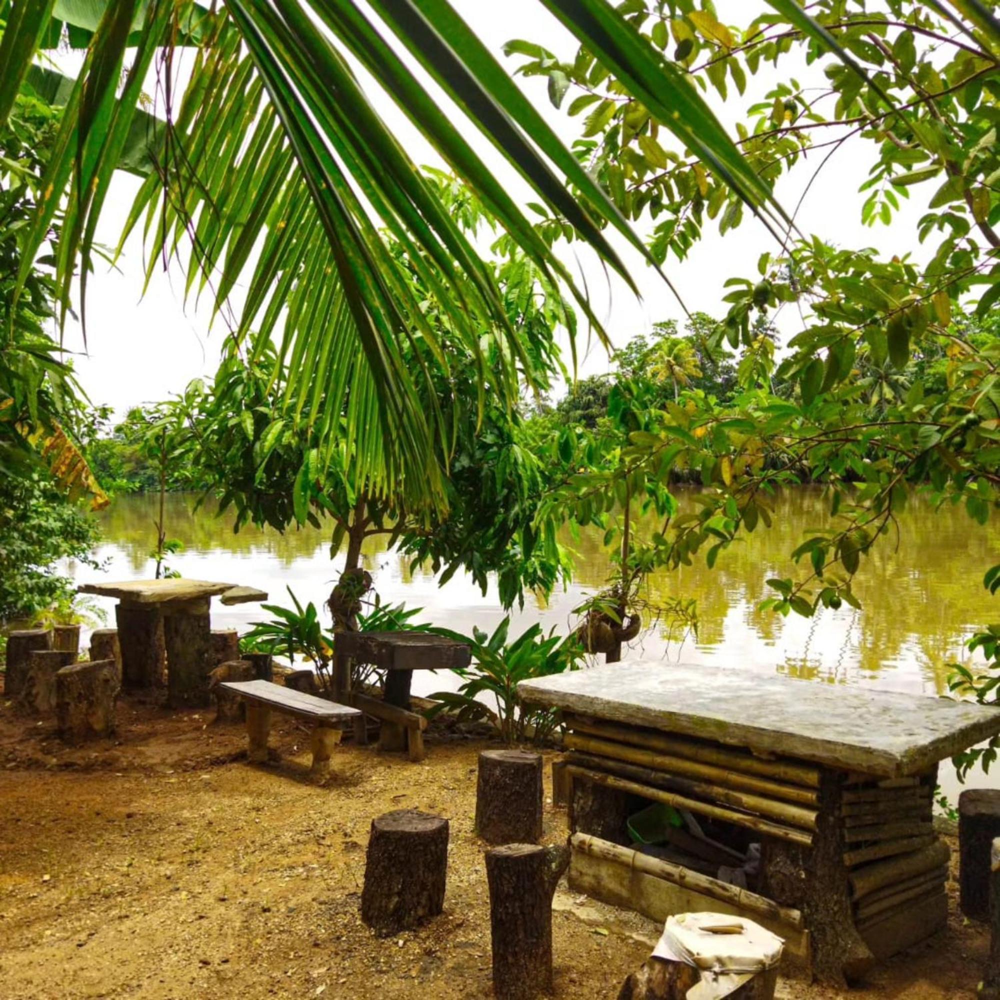 Kosi Giggles Resort Weligama Zewnętrze zdjęcie